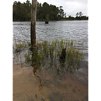 2018 Chesapeake CTK Kingtide Mapping image